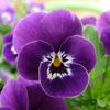 meryemm_1983