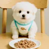 Beo Mukbang