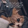 noucha_nouchette
