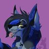thatbluefoxx