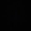 ivrwa2