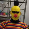 swifturchin