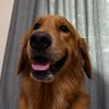 johannnna_0909