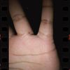 arissashady21