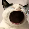 nasgorebusan