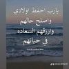 alop3_t