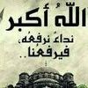 user150avwzfqi