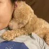 Cas