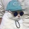 skaterade