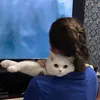 yaaakris