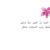 shhii_12