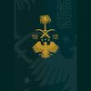 ash_3b
