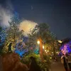 ki_no0918327