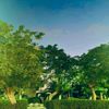 mohamedelsayed617