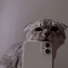 alex_xnxx