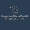aa.qh33