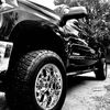 tundrabeast