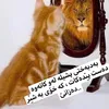 harki_423