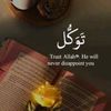 hassannaeem1231
