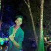 irf_willy