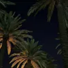 fawzee99