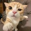 rohanb_01