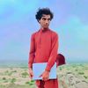 biloo_iq