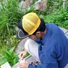 dave_bp