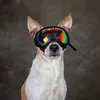 the.assistance_mutts