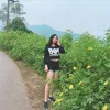 hangmelody01