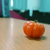terataibiru.com