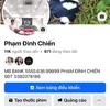 phamdinhchien6789