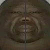 vanitywastaken