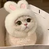 nguyentramy847