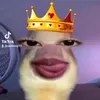 ashweey17