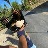aryo_saputro17