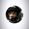 imad.x6.6