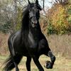 algarh_3