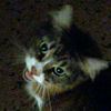 kiwiiii._r