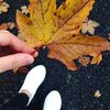 sarah_shr28