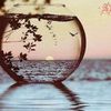 al_wafa440
