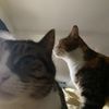 enid.and.wednesday