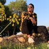 lotfi934