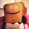 theamazonbox