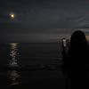 elle_8l