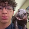 noahhlvv