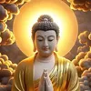 thaodang566
