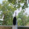 atishma_t_mgrx