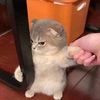 linhcuteeee2001