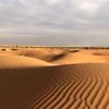 abu.nawaf502
